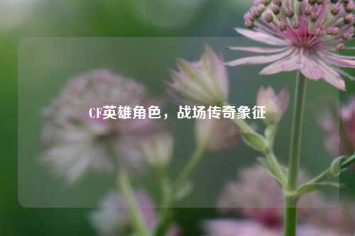 CF英雄角色,战场传奇象征