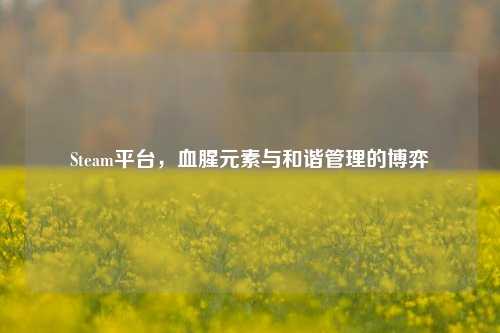 Steam平台,血腥元素与和谐管理的博弈