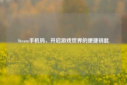 Steam手机码,开启游戏世界的便捷钥匙