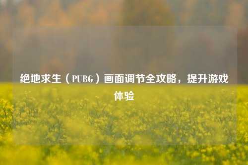 绝地求生(PUBG)画面调节全攻略,提升游戏体验