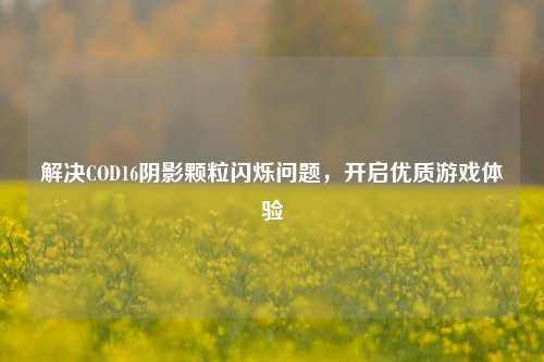 解决COD16阴影颗粒闪烁问题,开启优质游戏体验
