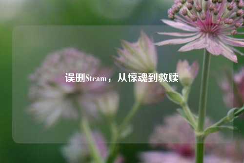 误删Steam,从惊魂到救赎