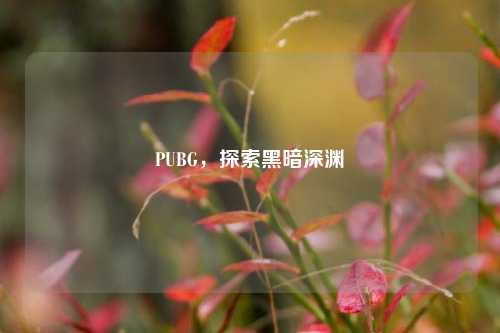 PUBG,探索黑暗深渊