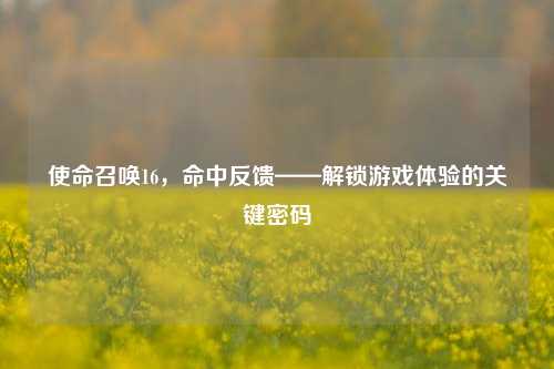 使命召唤16,命中反馈——解锁游戏体验的关键密码