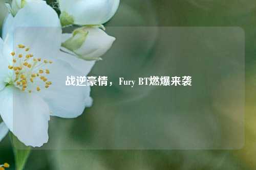 战逆豪情,Fury 燃爆来袭