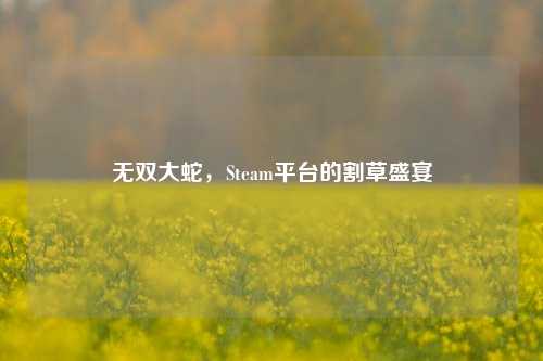 无双大蛇,Steam平台的割草盛宴