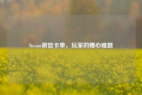 Steam微信卡单,玩家的糟心难题
