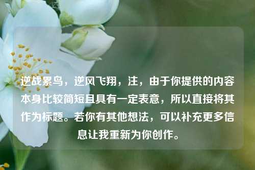 逆战累鸟,逆风飞翔,注,由于你提供的内容本身比较简短且具有一定表意,所以直接将其作为标题。若你有其他想法,可以补充更多信息让我重新为你创作。