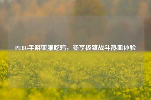 PUBG手游亚服吃鸡,畅享极致战斗热血体验