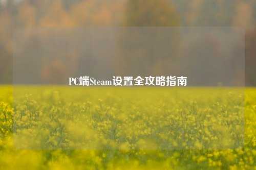 PC端Steam设置全攻略指南