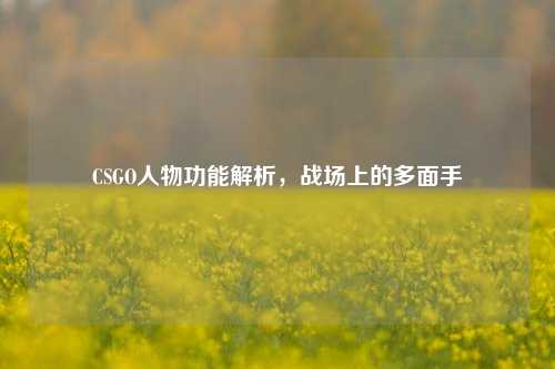 CSGO人物功能解析,战场上的多面手