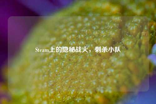 Steam上的隐秘战火,刺杀小队
