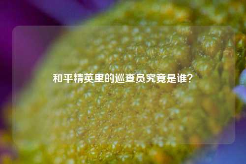 和平精英里的巡查员究竟是谁？