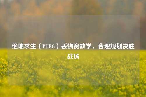 绝地求生（PUBG）丢物资教学，合理规划决胜战场