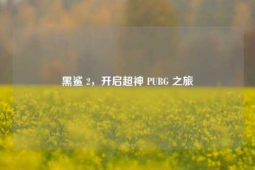 黑鲨 2,开启超神 PUBG 之旅