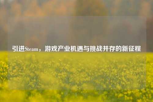 引进Steam,游戏产业机遇与挑战并存的新征程
