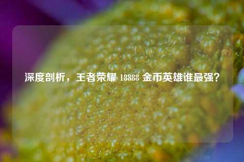 深度剖析,王者荣耀 18888 金币英雄谁最强?