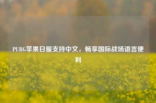 PUBG苹果日服支持中文,畅享国际战场语言便利