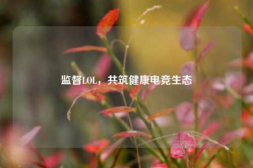 监督LOL，共筑健康电竞生态