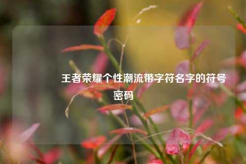 🎮王者荣耀个性潮流带字符名字的符号密码