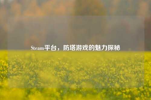 Steam平台,防塔游戏的魅力探秘