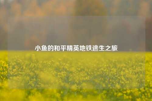 小鱼的和平精英地铁逃生之旅