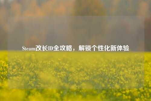 Steam改长ID全攻略,解锁个性化新体验