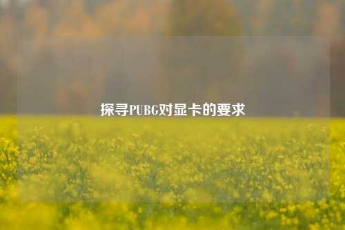 探寻PUBG对显卡的要求