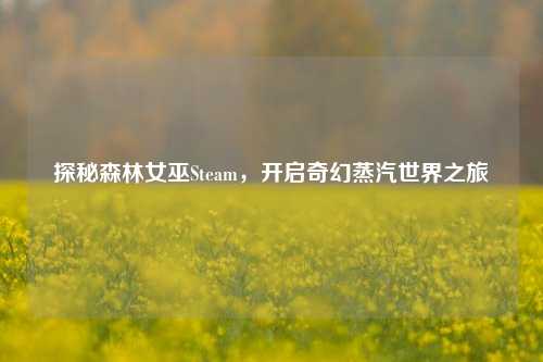 探秘森林女巫Steam,开启奇幻蒸汽世界之旅