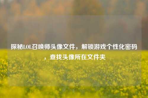 探秘LOL召唤师头像文件,解锁游戏个性化密码,查找头像所在文件夹