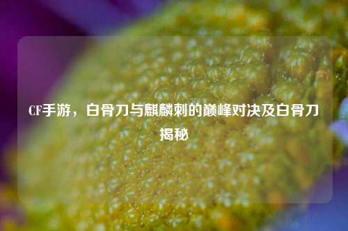 CF手游,白骨刀与麒麟刺的巅峰对决及白骨刀揭秘