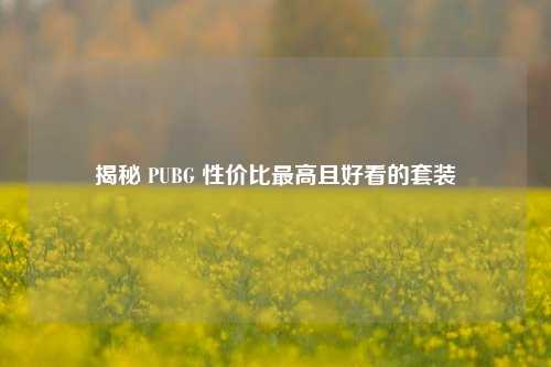 揭秘 PUBG 性价比更高且好看的套装