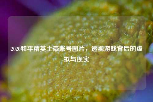 2020和平精英土豪账号图片,透视游戏背后的虚拟与现实