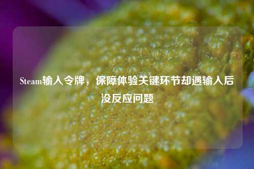 Steam输入令牌,保障体验关键环节却遇输入后没反应问题