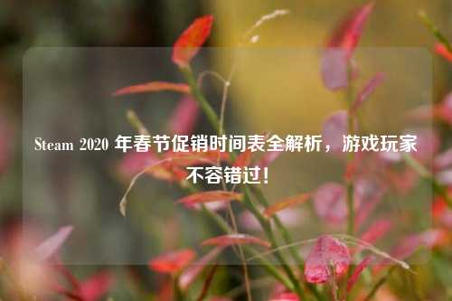 Steam 2020 年春节促销时间表全解析,游戏玩家不容错过!