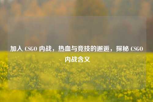 加入 CSGO 内战，热血与竞技的邂逅，探秘 CSGO 内战含义