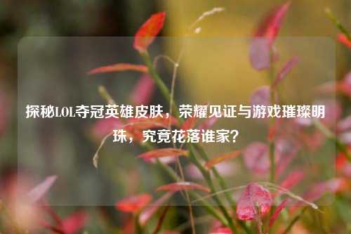 探秘LOL夺冠英雄皮肤，荣耀见证与游戏璀璨明珠，究竟花落谁家？