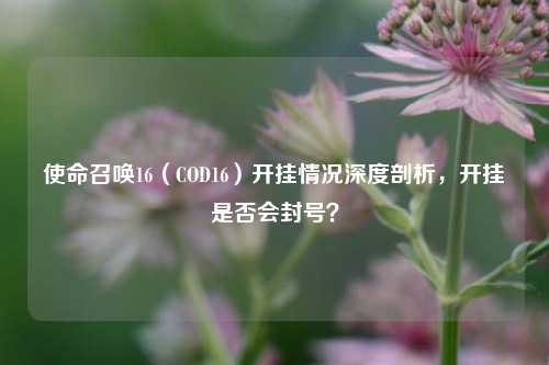 使命召唤16(COD16)开挂情况深度剖析,开挂是否会封号?