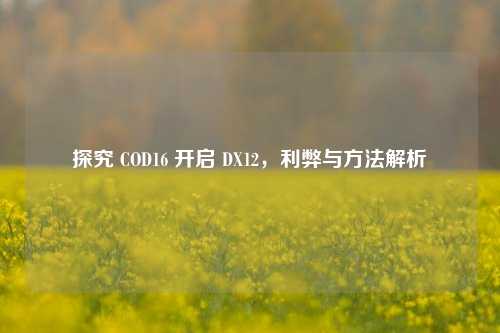 探究 COD16 开启 DX12，利弊与     解析