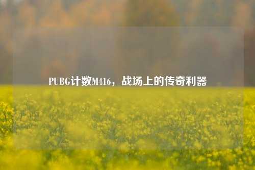 PUBG计数M416，战场上的传奇利器