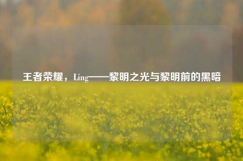 王者荣耀,Ling——黎明之光与黎明前的黑暗