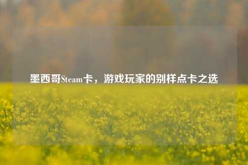 墨西哥Steam卡,游戏玩家的别样点卡之选