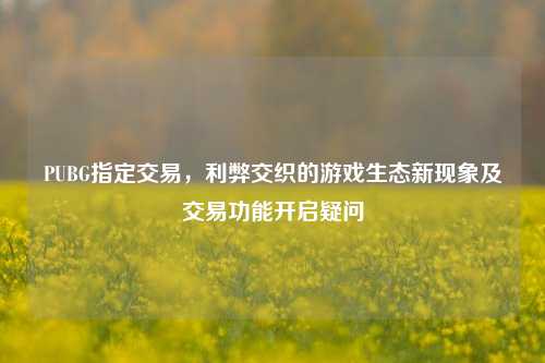 PUBG指定交易,利弊交织的游戏生态新现象及交易功能开启疑问