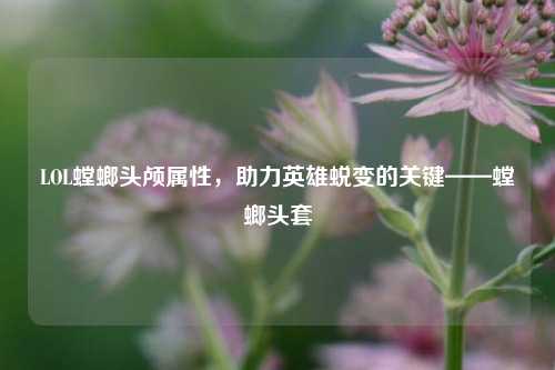LOL螳螂头颅属性,助力英雄蜕变的关键——螳螂头套