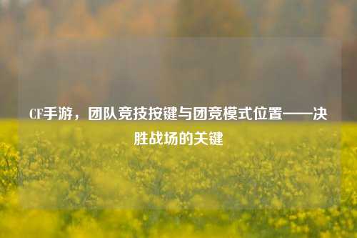 CF手游，团队竞技按键与团竞模式位置——决胜战场的关键