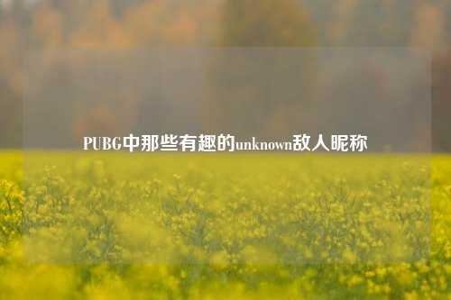 PUBG中那些有趣的unknown敌人昵称