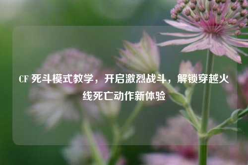 CF 死斗模式教学,开启激烈战斗,解锁穿越火线死亡动作新体验