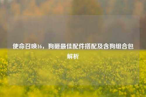 使命召唤16,狗砸更佳配件搭配及含狗组合包解析