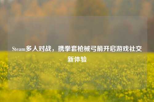 Steam多人对战,携拳套枪械弓箭开启游戏社交新体验