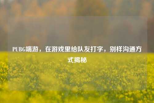 PUBG端游,在游戏里给队友打字,别样沟通方式揭秘